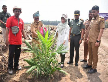 Bersama Dirjen Perkebunan RI, Pj Bupati Kampar Lakukan Kick Of Tanam Perdana Percepatan PSR