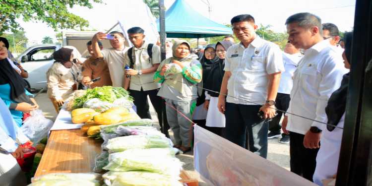 Pemkab Kampar Gelar Pangan Murah Jelang Iedul Adha 1446 H, , Bupati Kampar Ahmad Yuzar