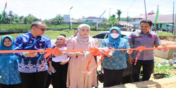 Ketua TP PKK Kampar Dampingi Ketua TP PKK Provinsi Riau Resmikan Posyandu Permata Bunda