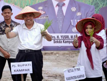 Wujudkan Ketahanan Pangan, Kampar Siap Produksi Padi khas Kampar dengan Brand Ulu Kasok
