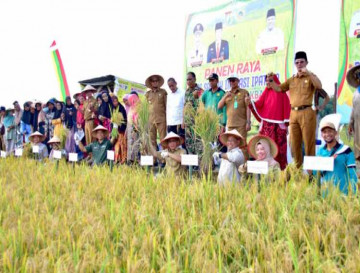 Teknologi IPAT - BO Tingkatkan Hasil Pertanian Poktan Takbau Menjadi 8,5 Ton/ Hektar