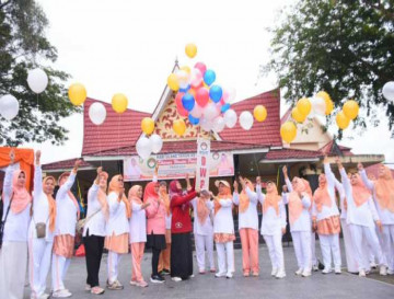 Hut Ke 25, DWP Kab. Kampar Tahun 2024, Ricana Djayanti Apresiasi Senam Sehat