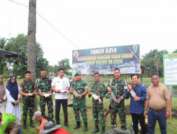 Dukung Progam Panglima TNI, Yonif 132/BS Salo Lakukan Panen Ikan Patin Dalam Meningkatkan