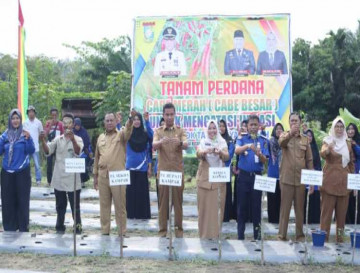 Antisipasi Inflasi Menjelang Ramadhan, KWT Mulya Berkah Tanam 1,5 Hektar Cabe Merah