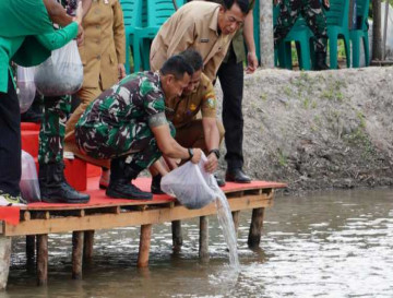 Gandeng Pengusaha Ikan dari Kuok, Bupati Kampar Tabur 300 Ribu Lebih Benih Ikan Patin